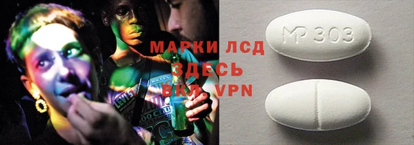 прущие грибы Вязьма