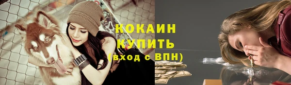 mdpv Горно-Алтайск