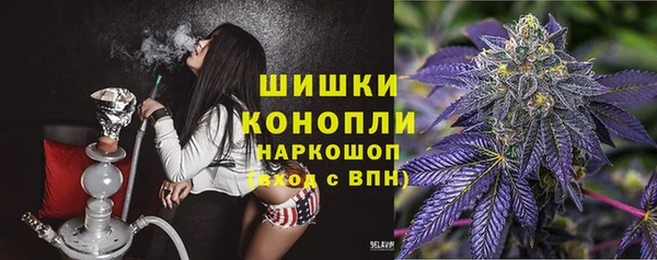 mdpv Горно-Алтайск