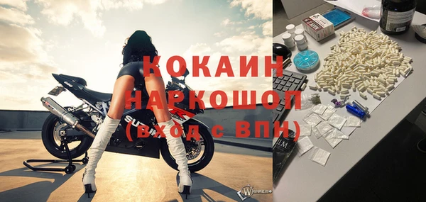 Альфа ПВП Анива