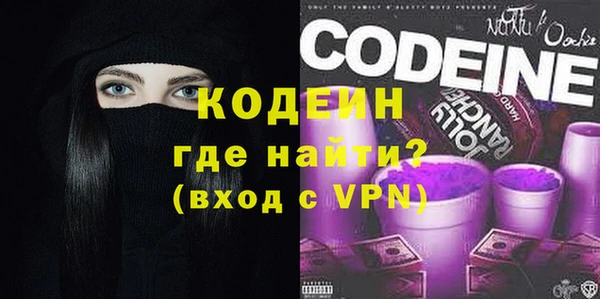Альфа ПВП Анива
