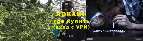мескалин Горняк