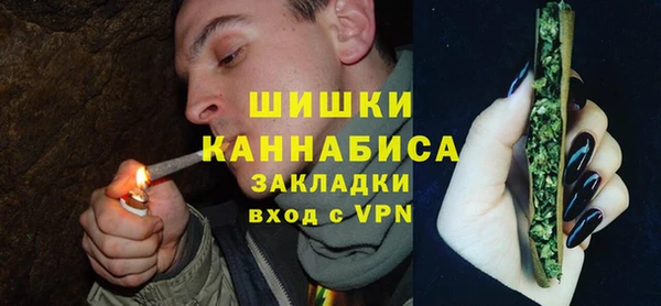 Альфа ПВП Анива