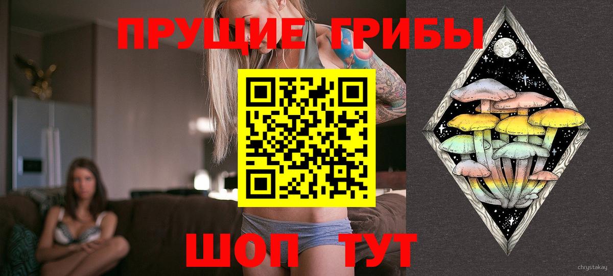 Псилоцибиновые грибы Psilocybe  купить   Железноводск  Вход с VPN 